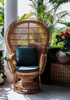 Peacock wicker rattan chair and flowers in living room overlooking the garden. Wicker chair interior decor. No focus, specifically
