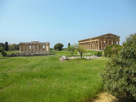 archaeological excavations sacred temple paestum in naples