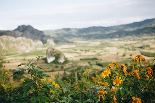 Landscape. Beautiful sunrise at Phu Lang Ka, Phayao in Thailand