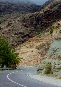 View of a mountain windy road surrounded by palm trees and coloured rocks