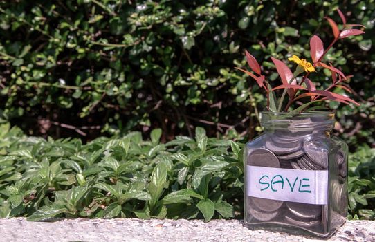 The pile of coins in glass bottle on natural green background for concept for growth and saving money. Space for text input, Selective focus.