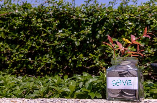 The pile of coins in glass bottle on natural green background for concept for growth and saving money. Space for text input, Selective focus.