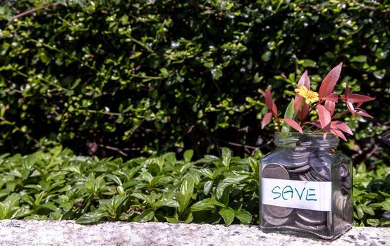 The pile of coins in glass bottle on natural green background for concept for growth and saving money. Space for text input, Selective focus.