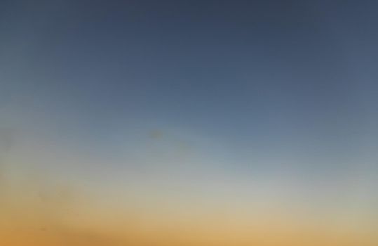 Seagulls flying spread wings in the sky at evening. Space for text, No focus, specifically.