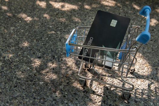 A credit card in a Mini supermarket trolley. Ideas about home online shopping.
