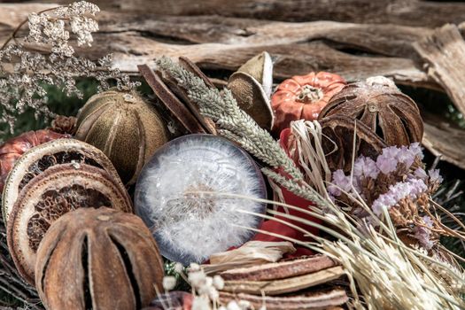 The freshness of Flower in Crystal glass in the middle of Dried flowers. World Environment and Ecology concept, Nature background.