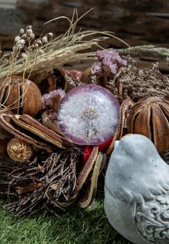 View through the pigeon see the freshness of Glass crystal globe in the middle of dried flowers. World Environment and Ecology concept, nature background.