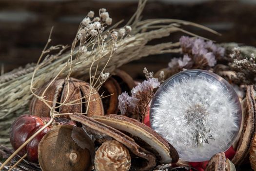 The freshness of Flower in Crystal glass in the middle of Dried flowers. World Environment and Ecology concept, Nature background.