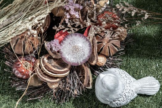 View through the pigeon see the freshness of Glass crystal globe in the middle of dried flowers. World Environment and Ecology concept, nature background.