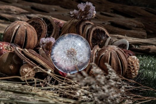 The freshness of Flower in Crystal glass in the middle of Dried flowers. World Environment and Ecology concept, Nature background.