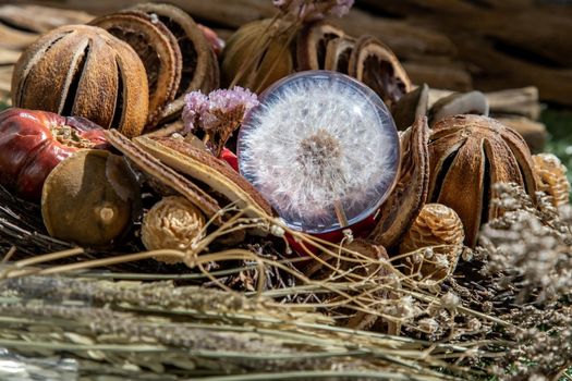 The freshness of Flower in Crystal glass in the middle of Dried flowers. World Environment and Ecology concept, Nature background.