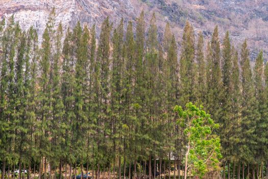 Beautiful view of landscape at Khao i bid or Khao e go at Khao Yoi District, Phetchaburi province, Thailand.