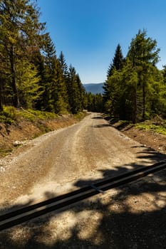 Long mountain trail in Jizera Mountains with high trees around