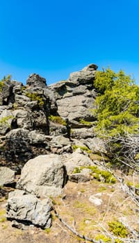 Big rocks in Jizera mountains with high trees around