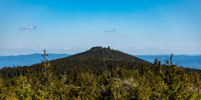 High trees with panorama of Jizery mountains seen from high rocks