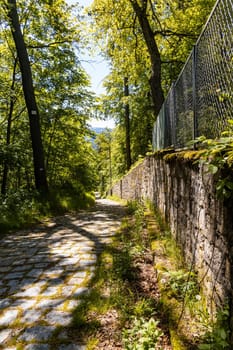 Long footpath to top of hill between stony fence and trees