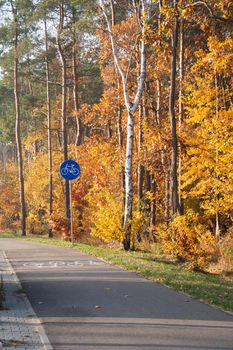 Bicycle road in autumn. A healthy lifestyle with countryside biking in the colorful forest
