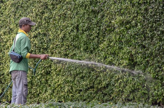 Bangkok, Thailand - Jan 14, 2021 : The gardener was using a rubber hose to water the trees. Injection of water from rubber tube, Copy space, Focus and blur.
