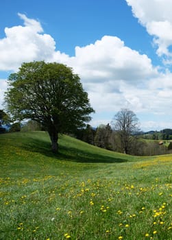 Appenzell pictures