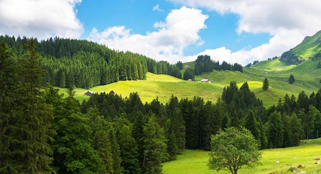 Appenzell pictures