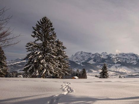 Appenzell pictures