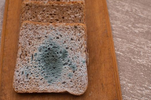bread with green mold on a wooden board. mold is harmful to health.
