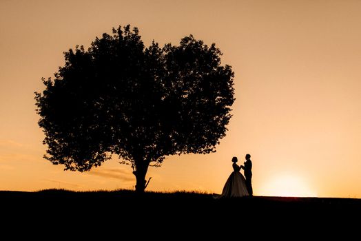 silhouettes of a happy young couple guy and girl on a background of orange sunset in the sand desert