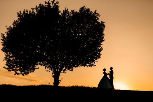 silhouettes of a happy young couple guy and girl on a background of orange sunset in the sand desert