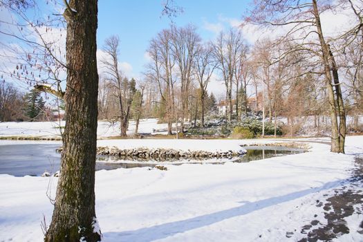 Winter in Stirin park and golf course