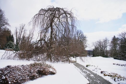 Winter in Stirin park and golf course