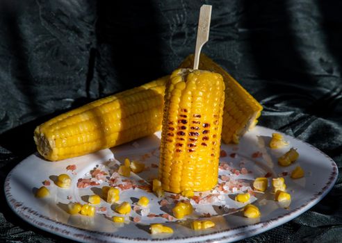 Grilled corn on the cob  on classic white plate over dark background. Ideas for barbecue and grill parties, Barbecue concept.