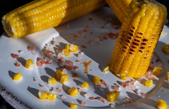 Close-up of Grilled corn on the cob  on classic white plate over dark background. Ideas for barbecue and grill parties, Barbecue concept.