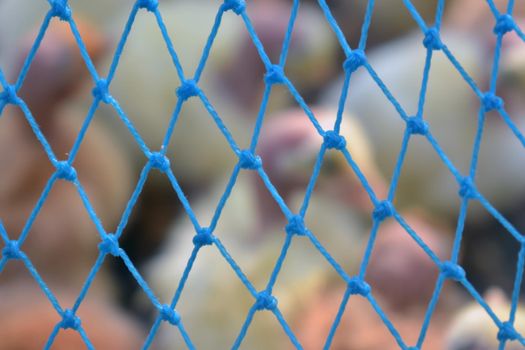 A closeup shot of a blue range chicken netting on a blurred background