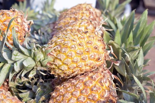 A closeup shot of a pile of fresh ripe pineapples in a market place