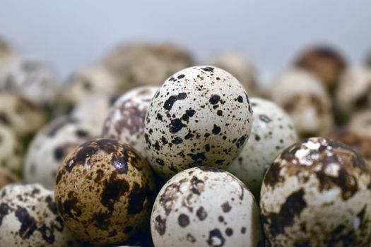 A closeup shot of a pile fresh quail eggs