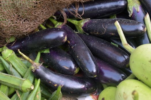 A closeup shot of a pile of fresh eggplants in a market place