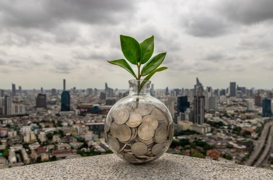 The saplings that grow on the pile of coins In a glass bottle on cityscape background Symbol for business growth. Investment concept for growth and saving money. Space for text input, Selective focus.