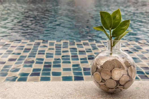 The saplings that grow on the pile of coins In a glass bottle on pool background Symbol for business growth. Investment concept for growth and saving money. Space for text input, Selective focus.