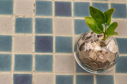 The saplings that grow on the pile of coins In a glass bottle on pool background Symbol for business growth. Investment concept for growth and saving money. Space for text input, Selective focus.
