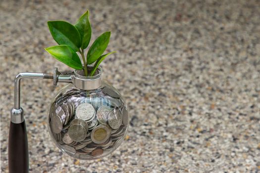 Bangkok, Thailand - Jun 26, 2020 : The saplings that grow on the pile of coins In a glass bottle Symbol for business growth. Investment concept for growth and saving money. Space for text input, Selective focus.