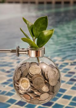 Bangkok, Thailand - Jun 26, 2020 : The saplings that grow on the pile of coins In a glass bottle on pool background Symbol for business growth. Investment concept for growth and saving money. Space for text input, Selective focus.