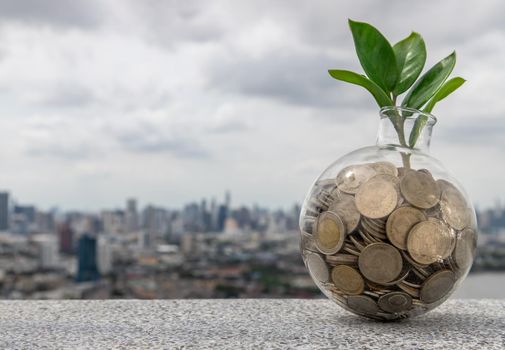 The saplings that grow on the pile of coins In a glass bottle on cityscape background Symbol for business growth. Investment concept for growth and saving money. Space for text input, Selective focus.