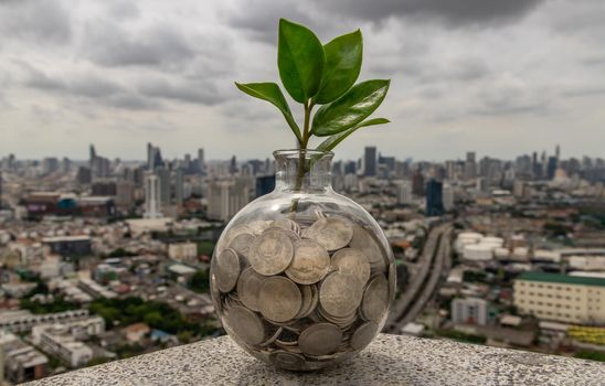 The saplings that grow on the pile of coins In a glass bottle on cityscape background Symbol for business growth. Investment concept for growth and saving money. Space for text input, Selective focus.