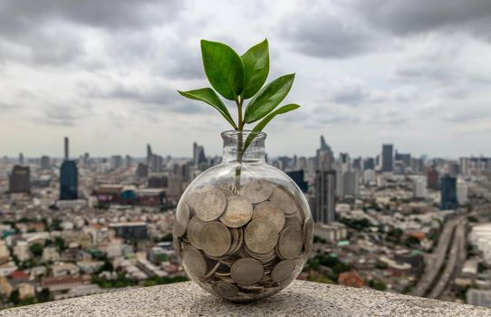 The saplings that grow on the pile of coins In a glass bottle on cityscape background Symbol for business growth. Investment concept for growth and saving money. Space for text input, Selective focus.