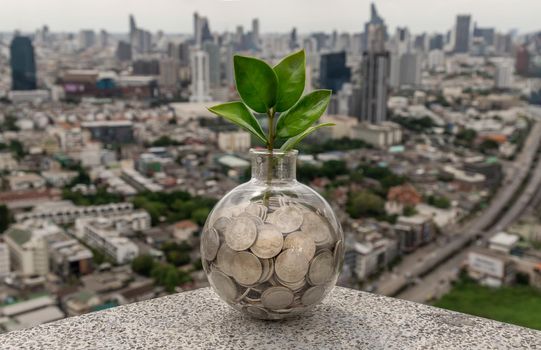 The saplings that grow on the pile of coins In a glass bottle on cityscape background Symbol for business growth. Investment concept for growth and saving money. Space for text input, Selective focus.