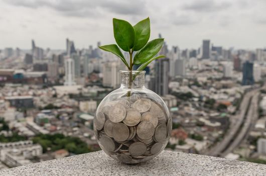 The saplings that grow on the pile of coins In a glass bottle on cityscape background Symbol for business growth. Investment concept for growth and saving money. Space for text input, Selective focus.