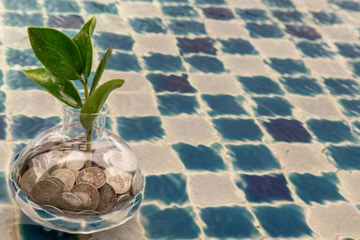 The saplings that grow on the pile of coins In a glass bottle on pool background Symbol for business growth. Investment concept for growth and saving money. Space for text input, Selective focus.