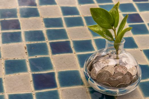 The saplings that grow on the pile of coins In a glass bottle on pool background Symbol for business growth. Investment concept for growth and saving money. Space for text input, Selective focus.