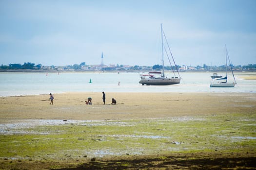 view on Ars-en-ré from la patache on the isle of ile-de-Ré on lowtide with boats resting and people searching for shells on sunny day in summertime