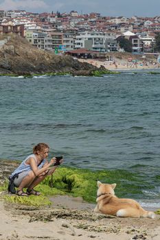 Bulgaria, SOZOPOL - 2018, 06 September: A woman photographs a dog on a rocky beach, blurred background. Stock photo.